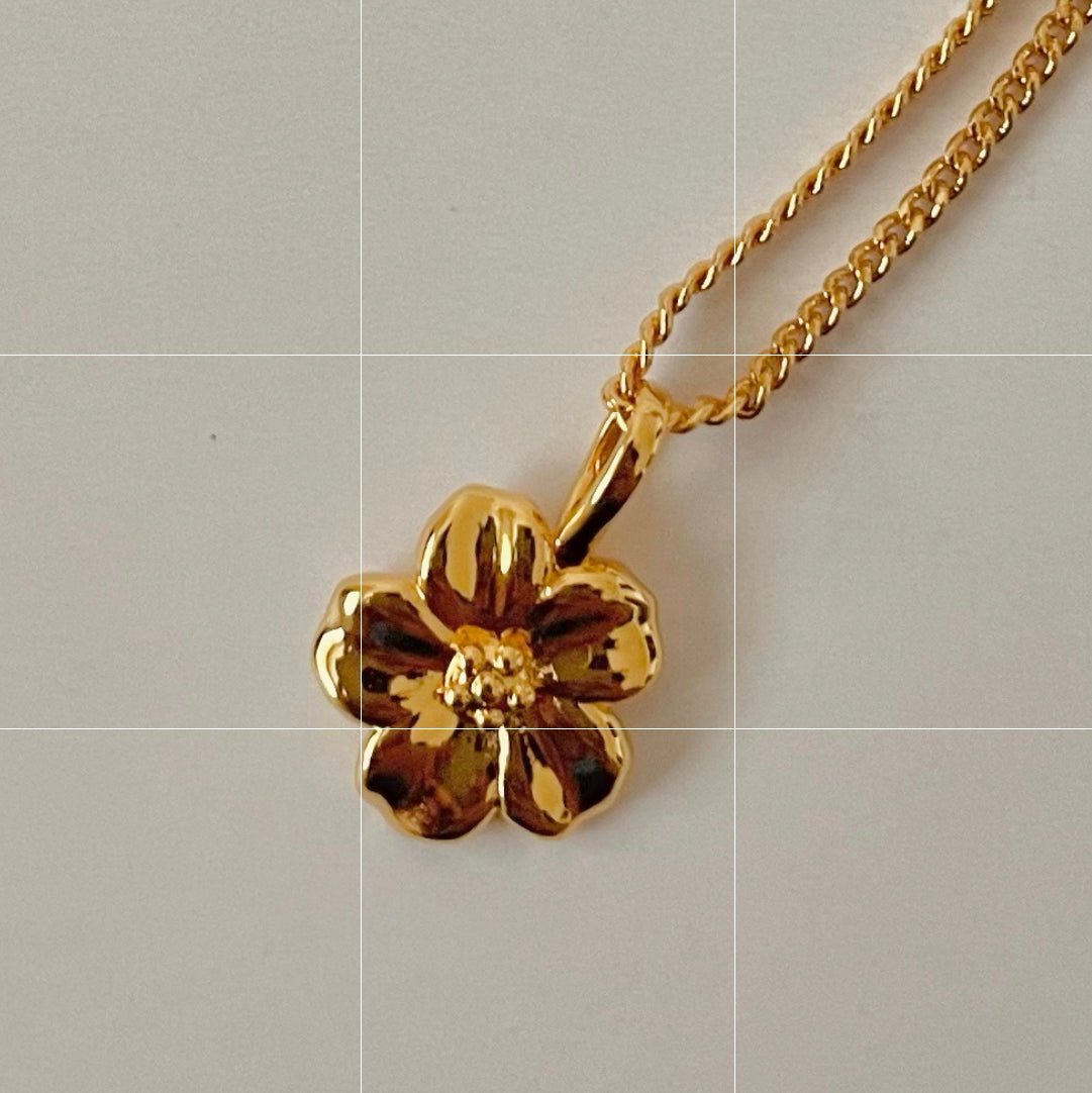 Apparel & Accessories